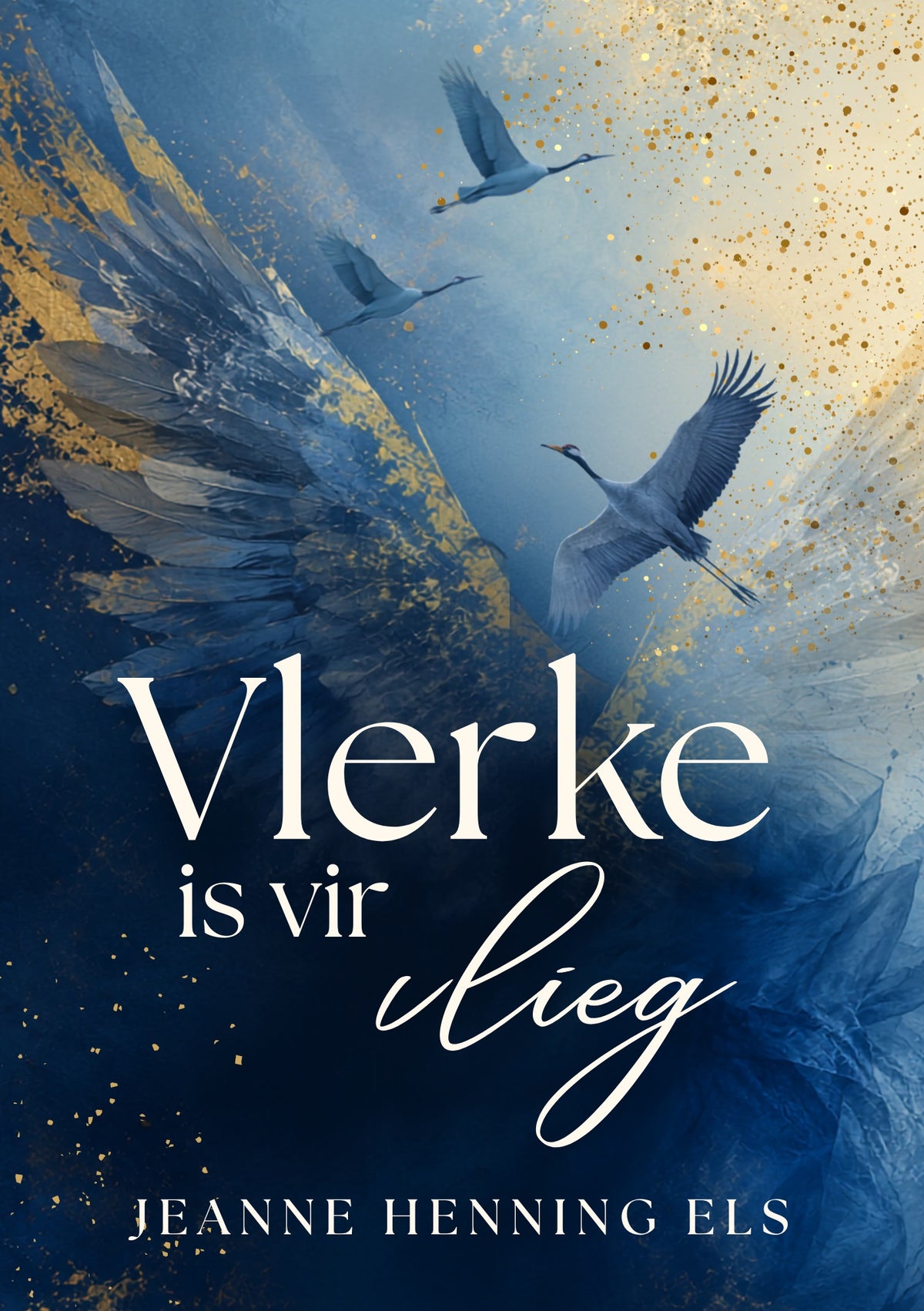 Vlerke is vir vlieg