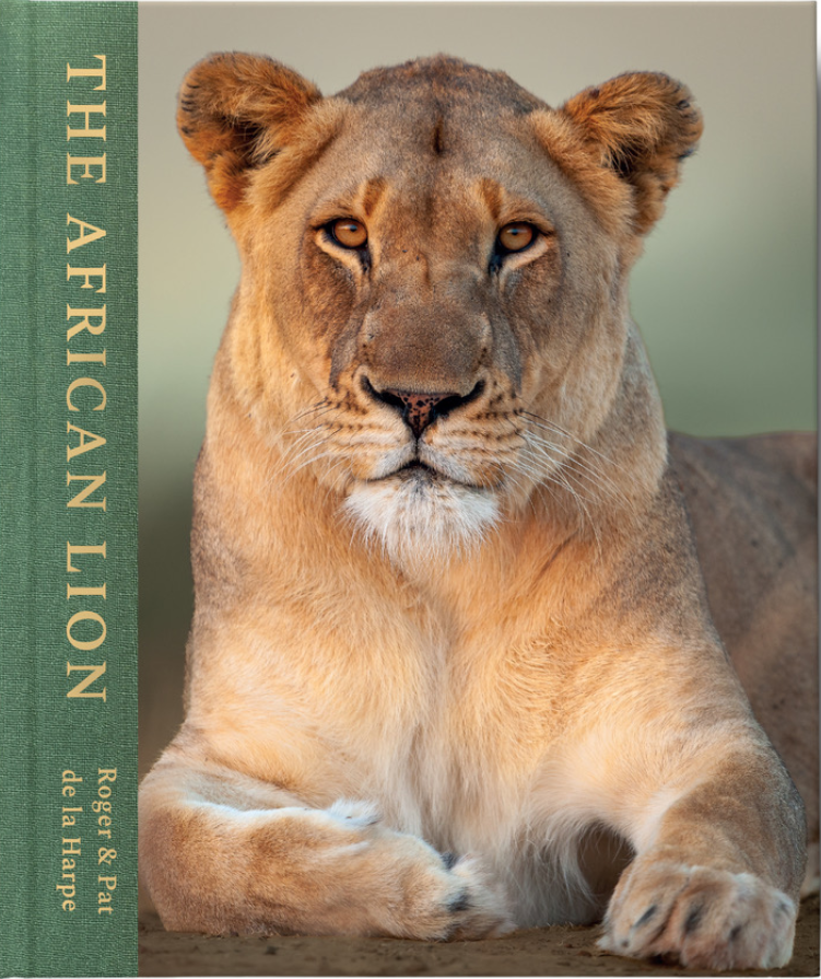 The African Lion