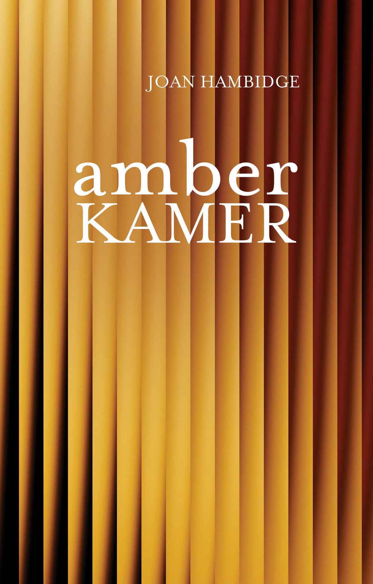 Amberkamer