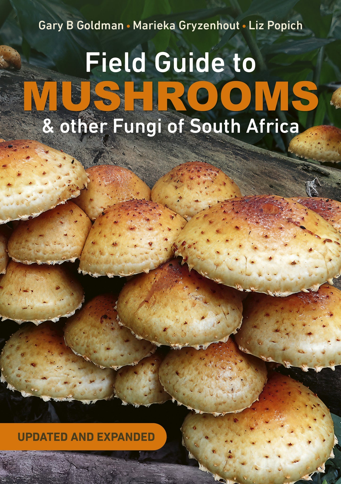 Field Guide to Mushrooms & other Fungi of South Africa