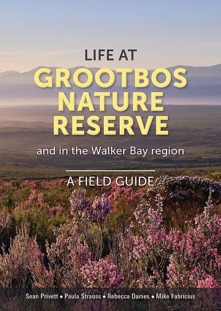 Life at Grootbos Nature Reserve and in the Walker Bay region – A Field Guide