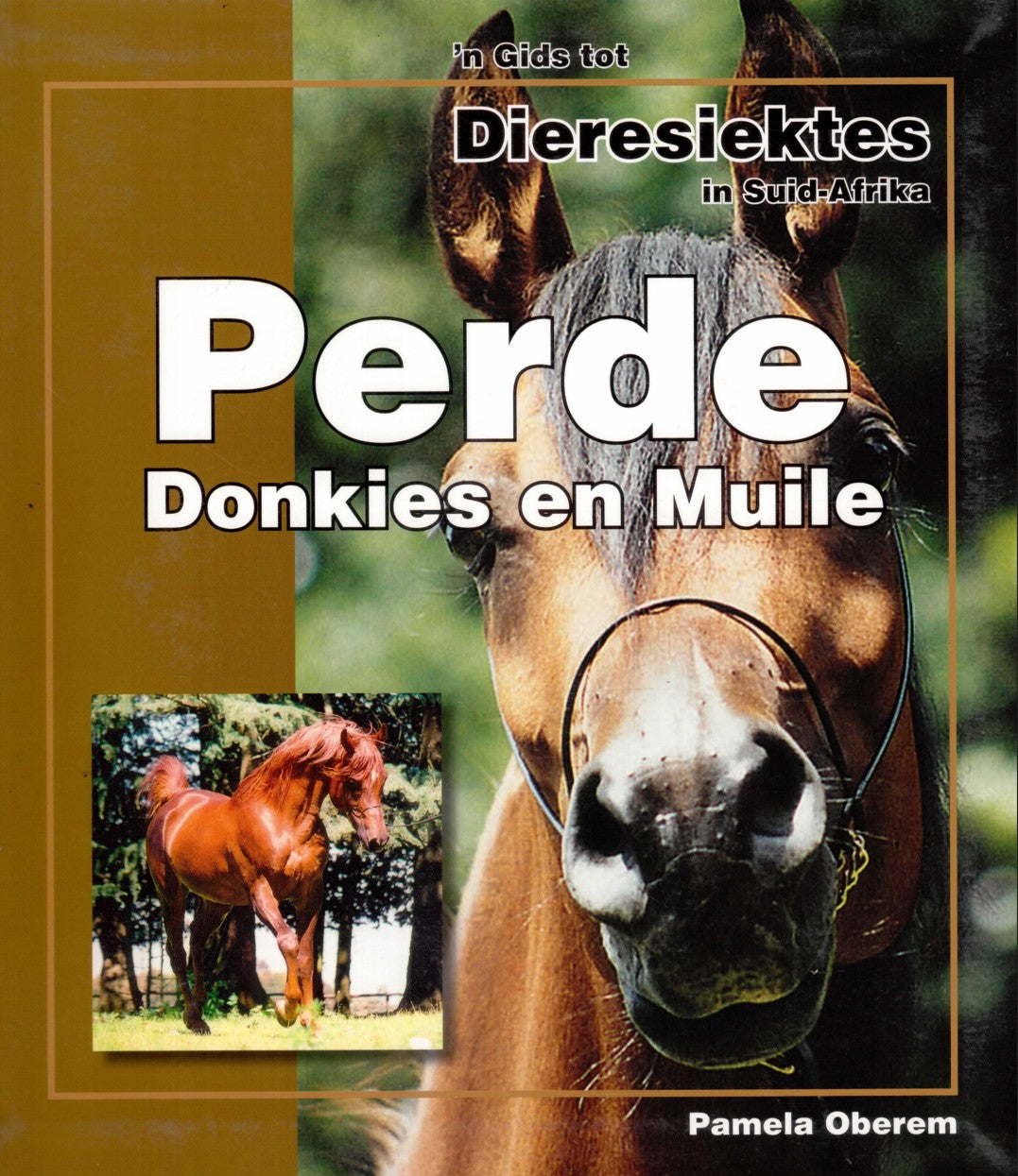 Gids tot Dieresiektes Perde en Donkies