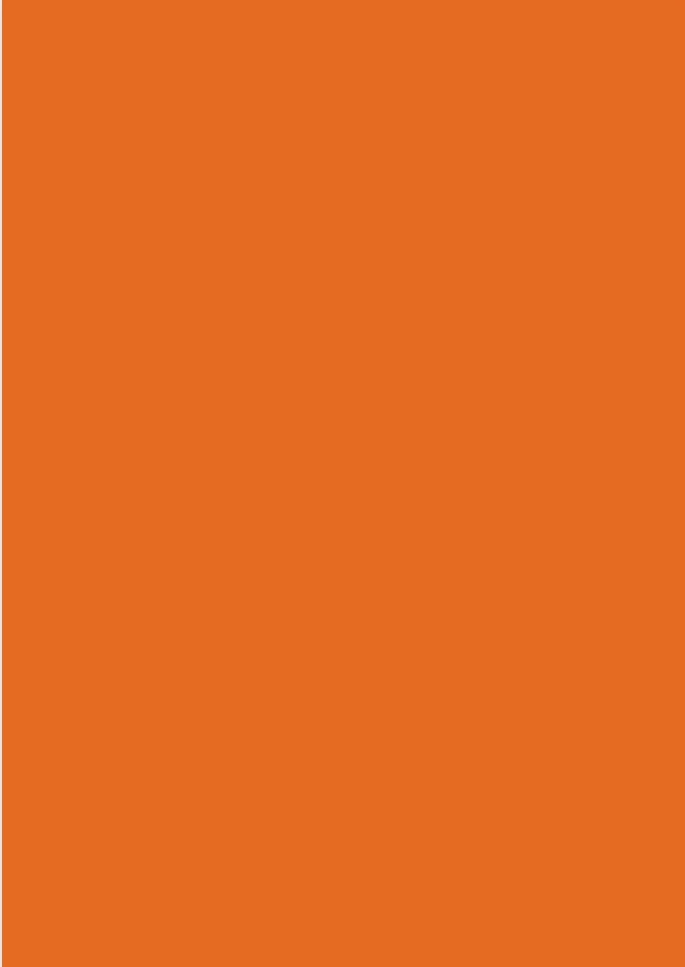 2026 A4 Page - a - Day Diary: Orange