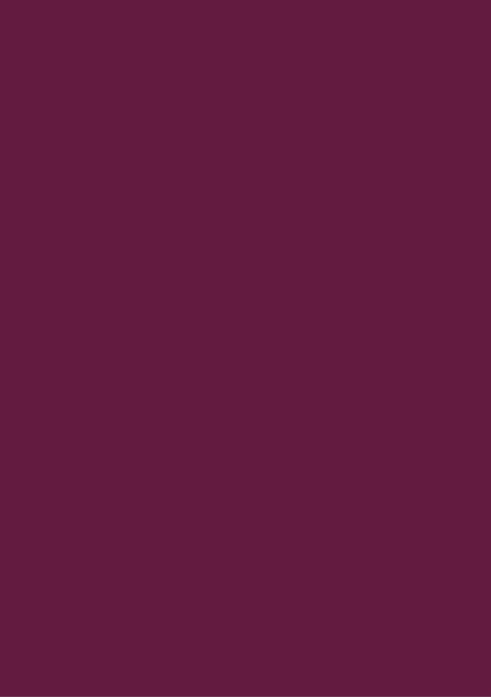 2026 A4 Page - a - Day Diary: Burgundy