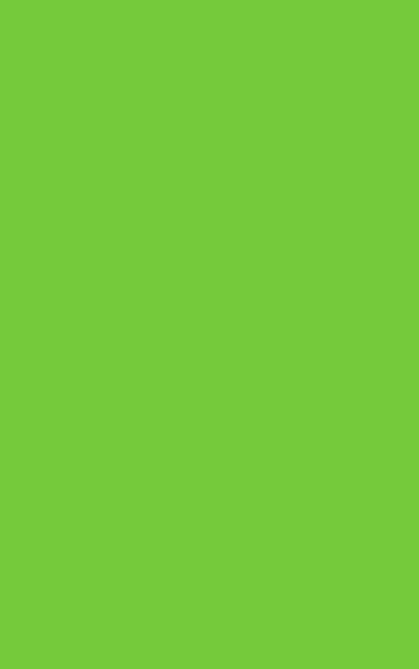 2026 A5 Page - a - Day Diary: Lime Green