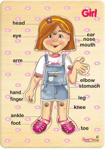 6 Piece Peg Wood My Body Girl