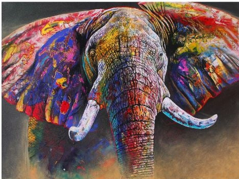 1500 Piece Colour Run