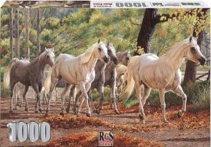 1000 Piece Run Free