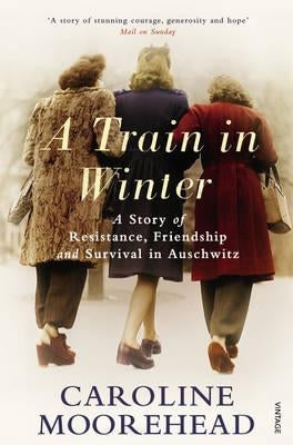 Train In Winter