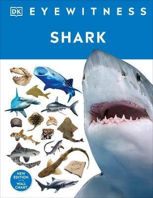 Eyewitness: Shark