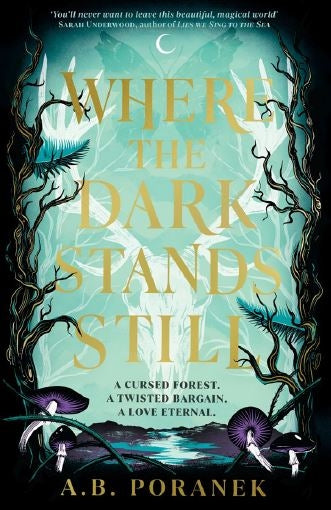 Where the Dark Stands Still