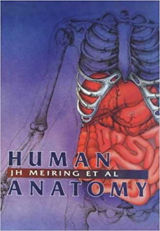 Human Anatomy