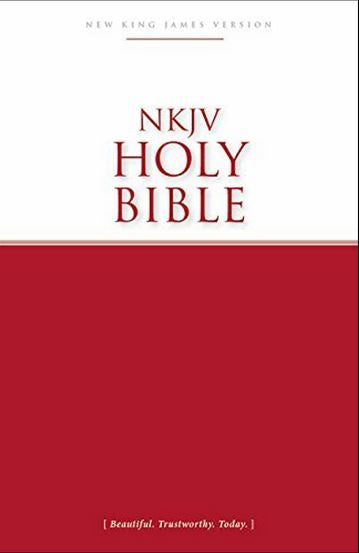 Bible Economy Paperback