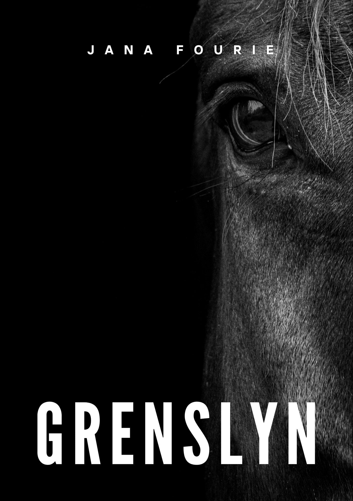 Grenslyn