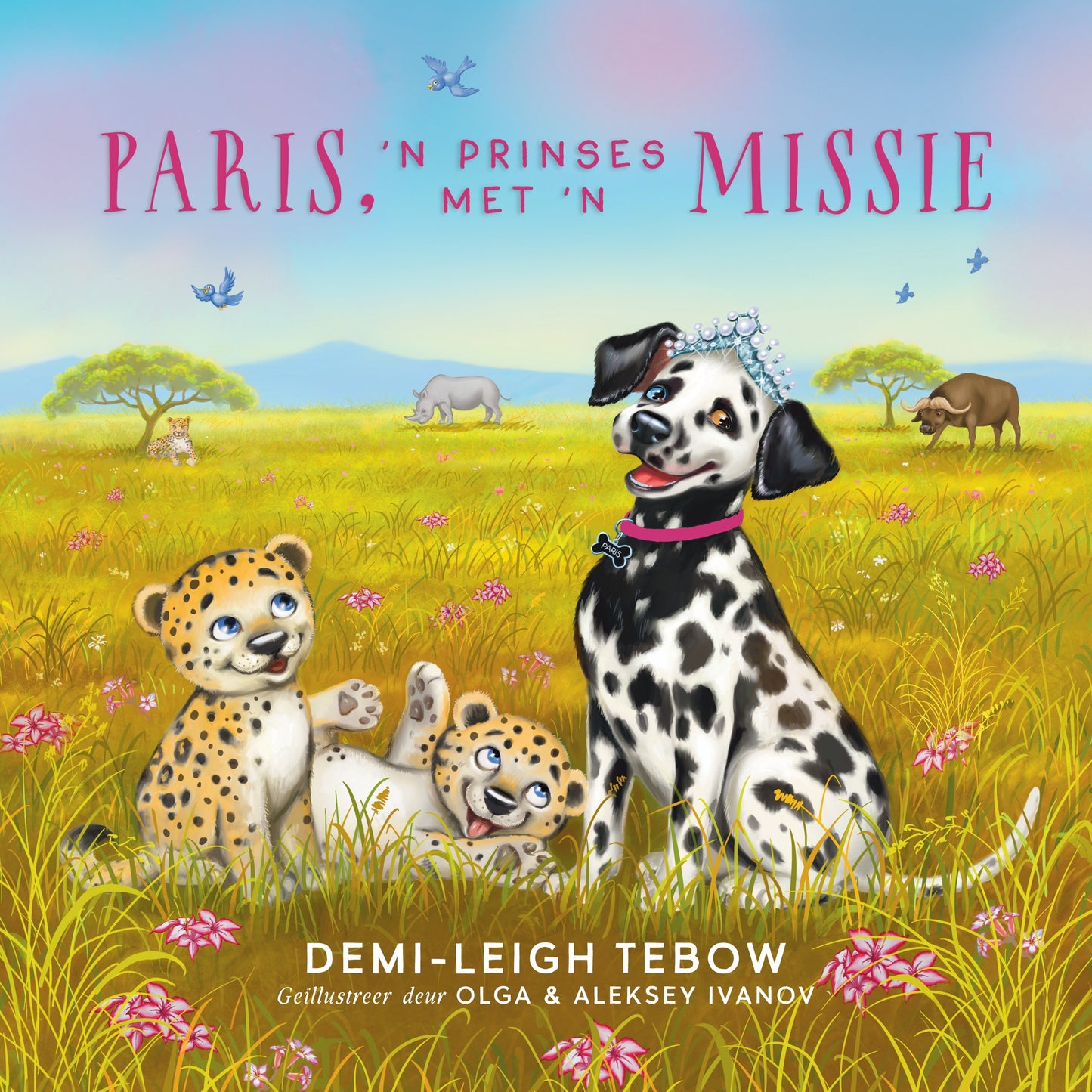 Paris, Prinses met 'n Missie