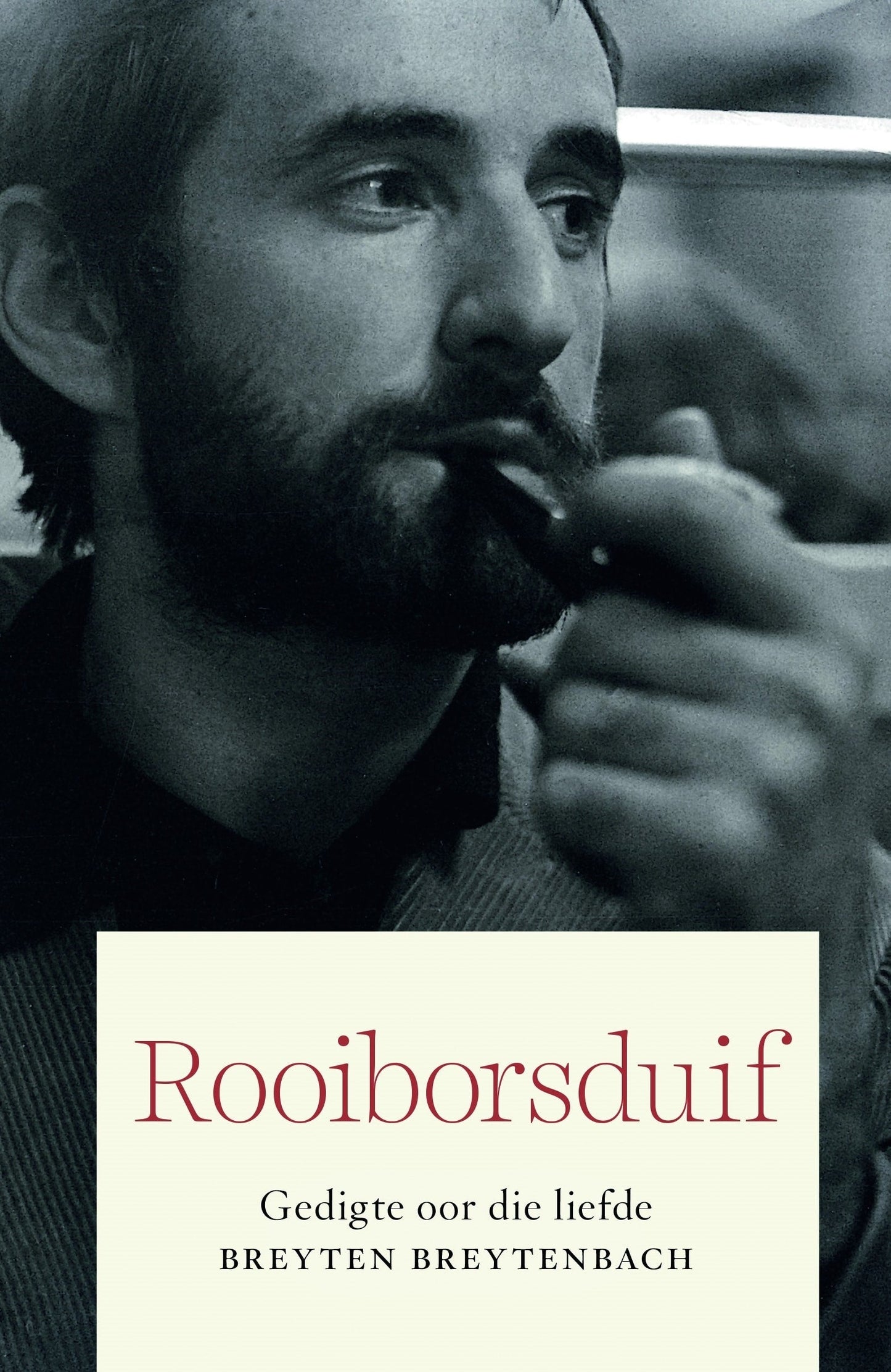 Rooiborsduif