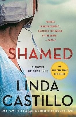 Kate Burkholder Series 11: Shamed