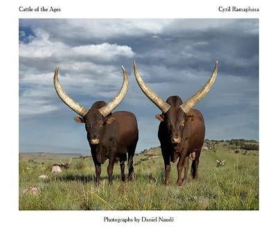 Cattle of the Ages : Ankole cattle in South Africa