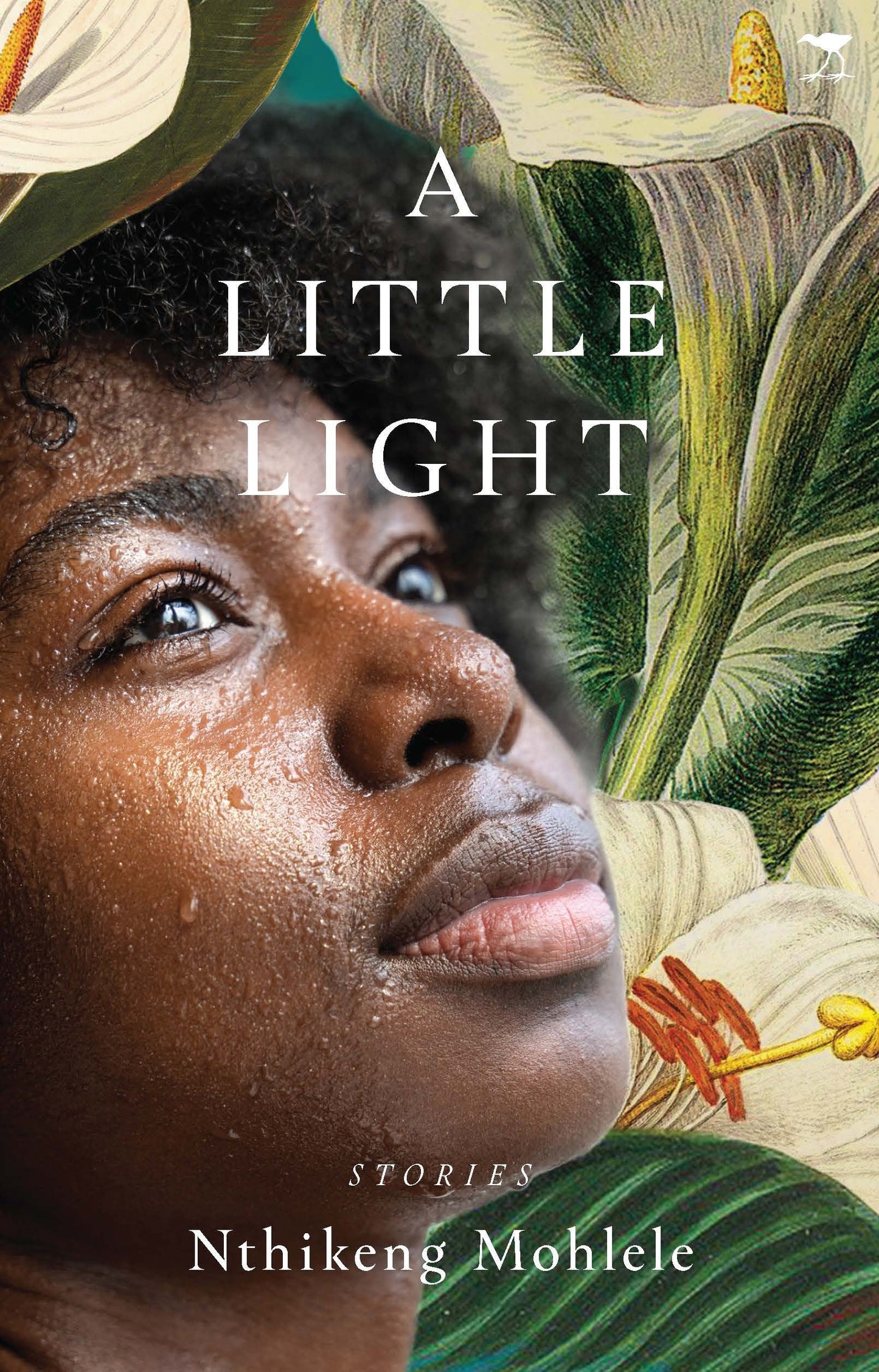 A Little Light: Stories