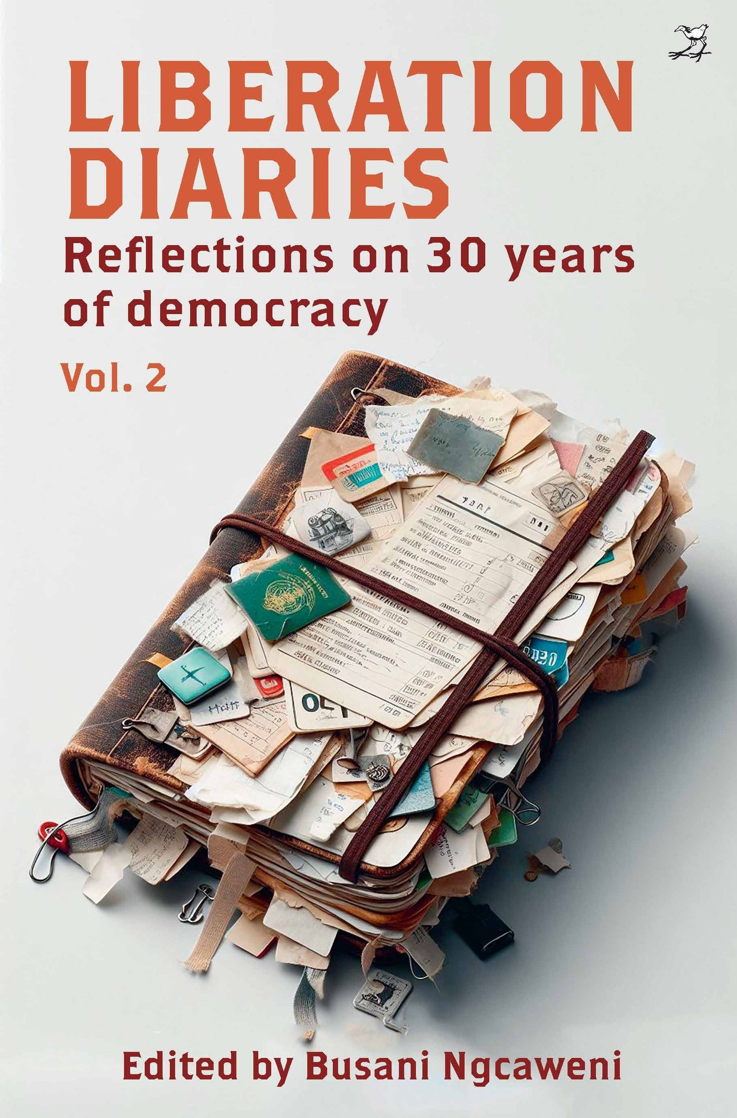 Liberation Diaries: Reflections on 30 years of democracy - Vol 2