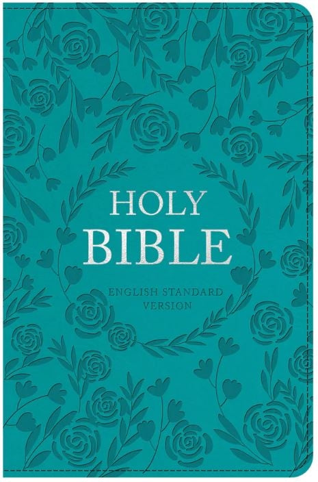 Bible ESV Turquoise Faux Leather Standard Bible Thumb Indexed With Zip