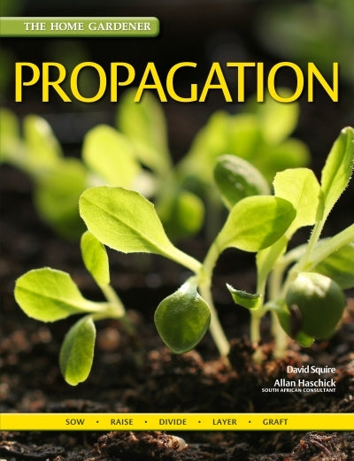 Propagation