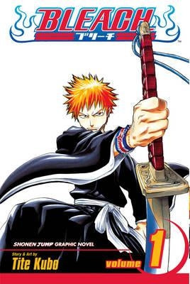 Bleach Vol.1