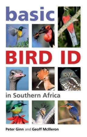 Basic Bird ID