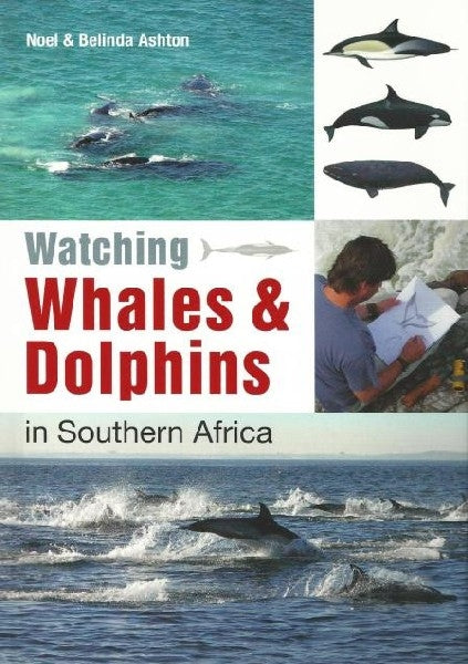 Watching Whales and Dolphins in Southern Africa