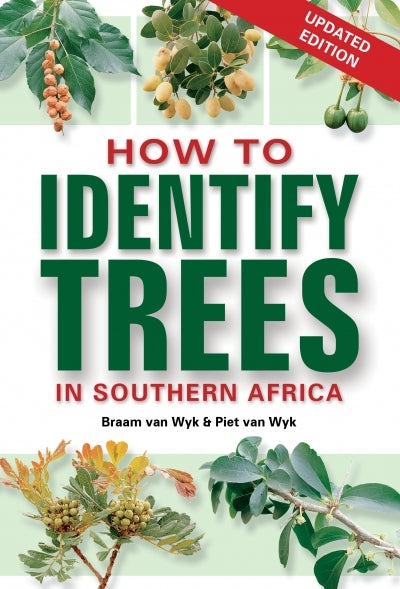 How To Identify Trees In Southern Africa