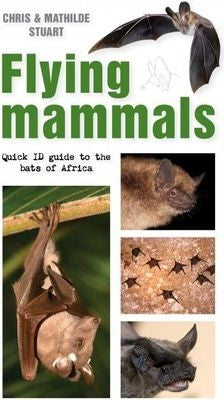 Flying Mammals - Quick ID Guide To The Bats Of Africa