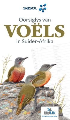 Sasol Oorsiglys van Voels in Suider-Afrika