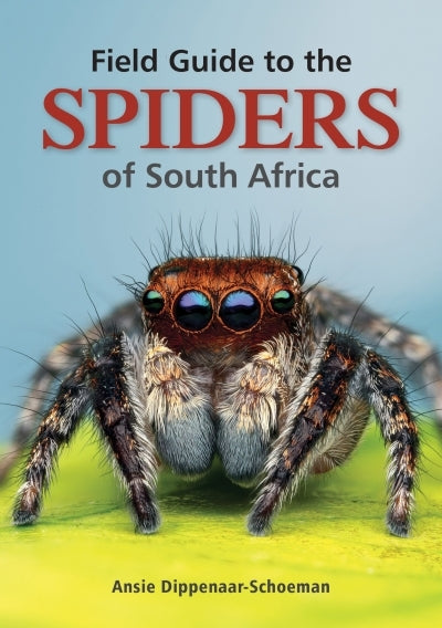 Field guide to the spiders of South Africa