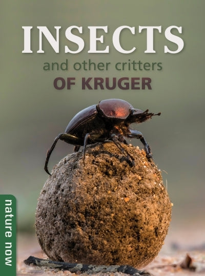 Insects and other critters of Kruger