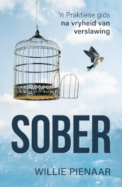 Sober : 'n Praktiese gids na vryheid van verslawing