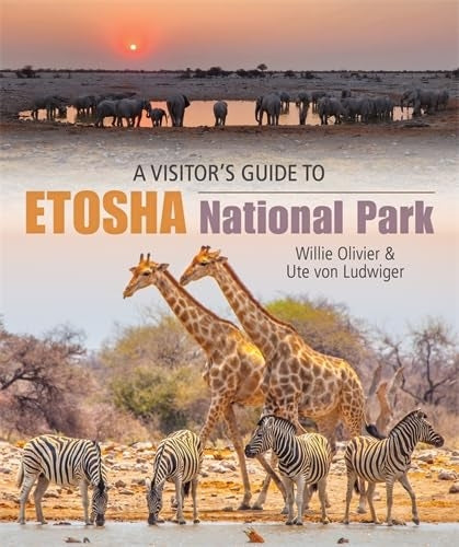 A Visitor Guide to Etosha National Park