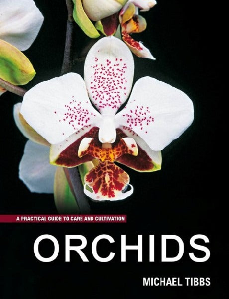 Orchids