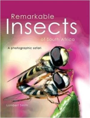 Remarkable Insects of South Africa - A photographic safari