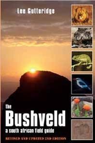 The Bushveld