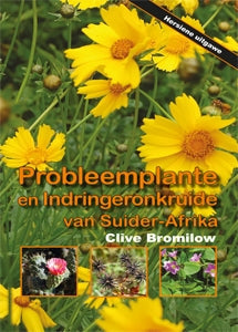 Probleemplante