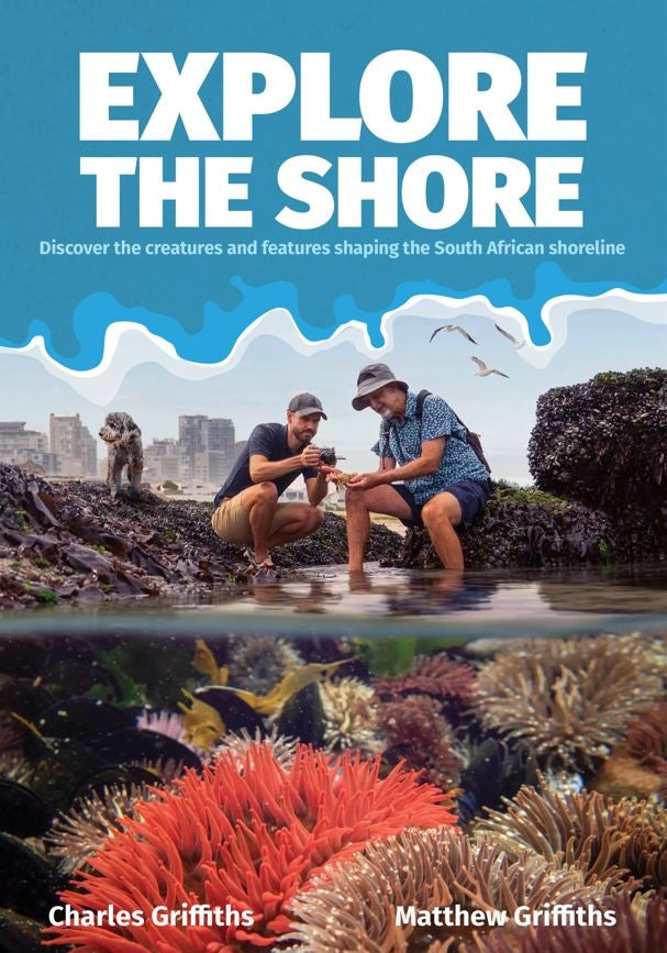 Explore The Shore