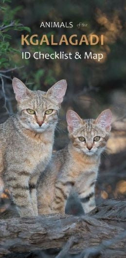 Animals of the Kgalagadi: ID Checklist & Map