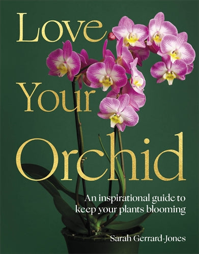 Orchids