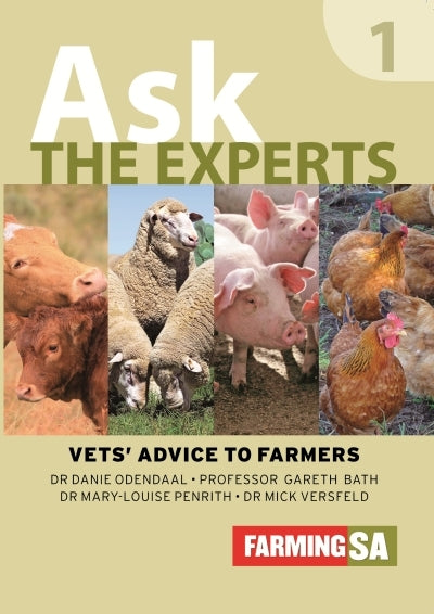 Ask the Expert- Vets Advice