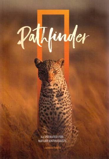 Pathfinder (6th Edition)