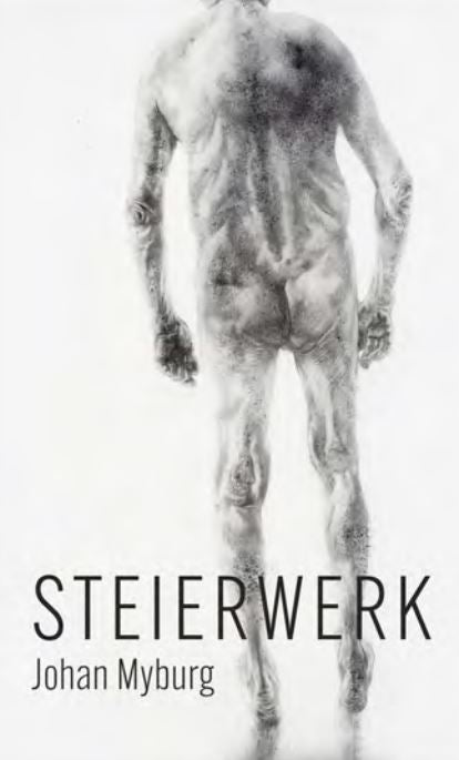 Steierwerk