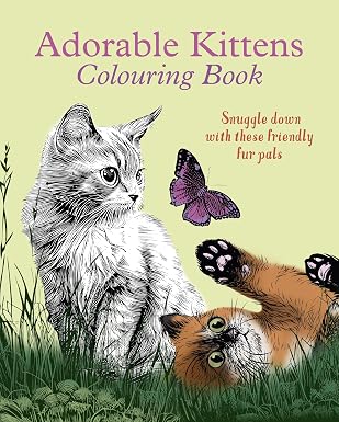 Adorable Kittens Colouring Book