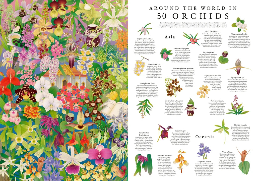 1000 Piece Around the World in 50 Orchids