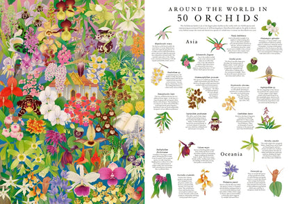 1000 Piece Around the World in 50 Orchids