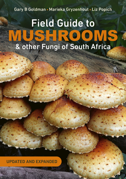 Field Guide to Mushrooms & other Fungi of South Africa